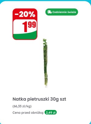 Natka pietruszki 1 szt. promocja w Dino