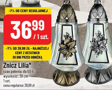 Znicz lilia 50h 38 cm promocja w POLOmarket