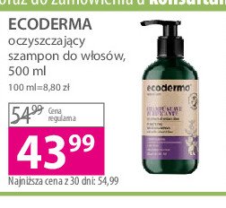 Szampon do włosów oczyszczający Ecoderma promocja