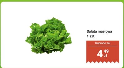 Sałata masłowa 1 szt. promocja w Biedronka
