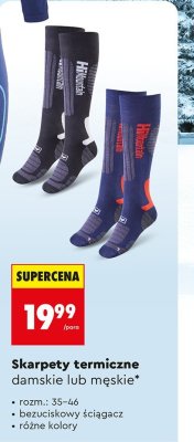 Skarpety termiczne damskie lub męskie promocja w Biedronka