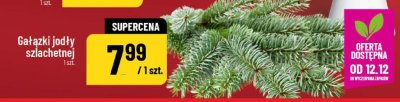 Gałązki jodły szlachetnej promocja w POLOmarket