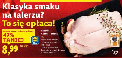 Kaczka - tuszka promocja w Lidl