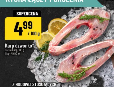 Karp dzwonko promocja w POLOmarket