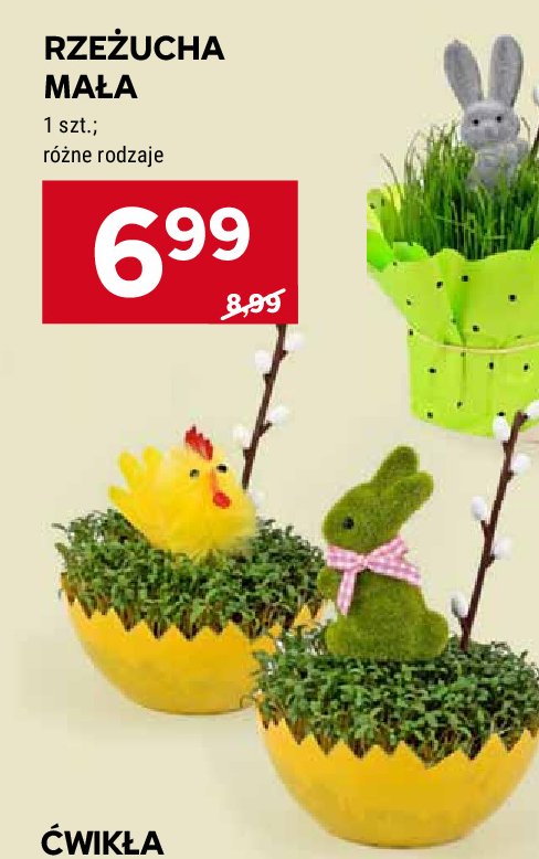 Rze偶ucha promocja