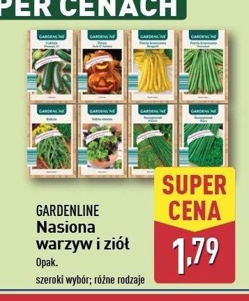 Nasiona fasolki szparagowej GARDEN LINE promocja w Aldi