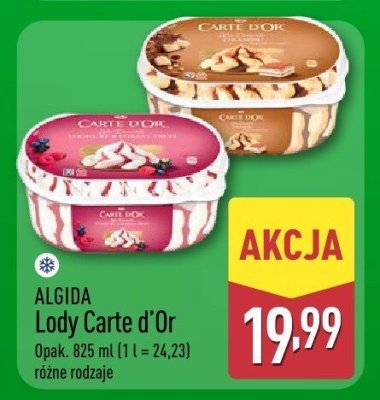 Lody różne rodzaje promocja w Aldi