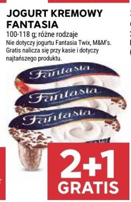 Jogurt kremowy Fantasia promocja w Stokrotka