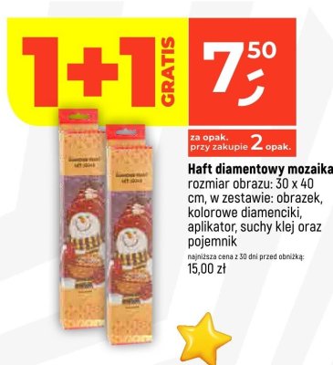 Haft diamentowy mozaika rozm. 30 x 40 cm promocja w Dealz