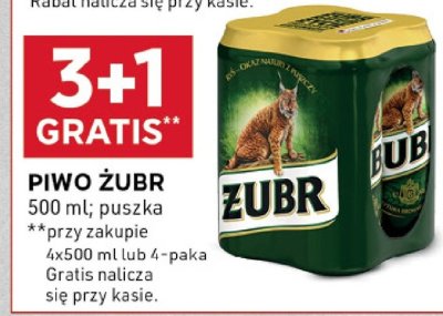 Piwo Żubr promocja w Stokrotka