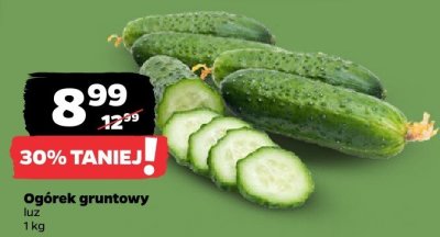 Ogórek gruntowy luz  promocja w Netto