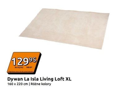 Dywan Loft XL, różne kolory promocja w Action