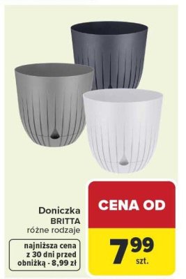 Doniczka BRITTA różne rodzaje promocja w Carrefour