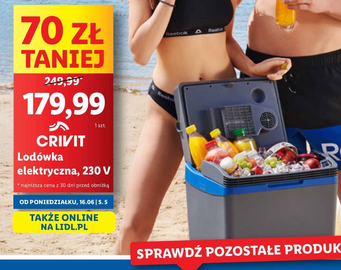 Lodówka turystczna 230 v Crivit pro promocja w Lidl