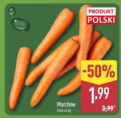 Marchew promocja w Aldi