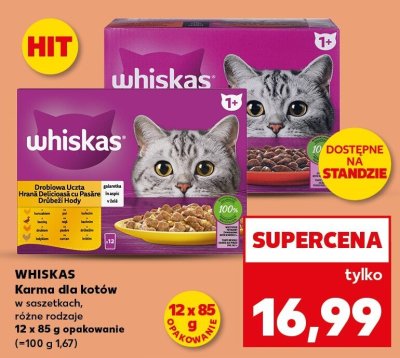 Karma dla kotów w saszetkach, różne rodzaje promocja w Kaufland