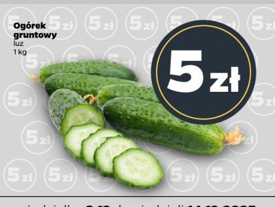 Ogórek gruntowy luz promocja w Netto