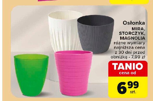 Osłonka magnolia 17 cm promocja w Carrefour