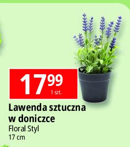 Lawenda don. 17 cm Floral styl promocja