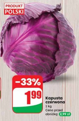Kapusta czerwona promocja w Dino