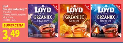 Herbata Loyd Grzaniec śliwkowy promocja w Lidl