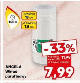 Wkład parafinowy 150 h Angela promocja