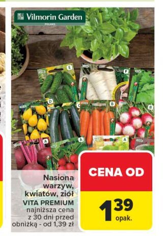 Ogórek Vilmorin garden promocja w Carrefour