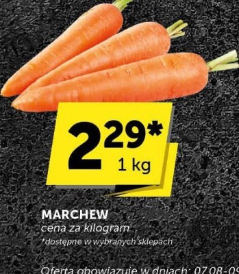 Marchewka młoda promocja w Groszek