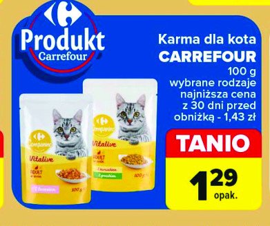 Karma dla kota z łosośiem CARREFOUR COMPANINO promocja