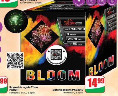 Bateria Bloom PXB2010 promocja w Dino