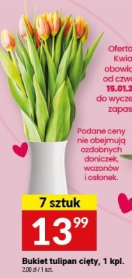 Bukiet tulipan cięty, 1 kpl. promocja w Twój Market