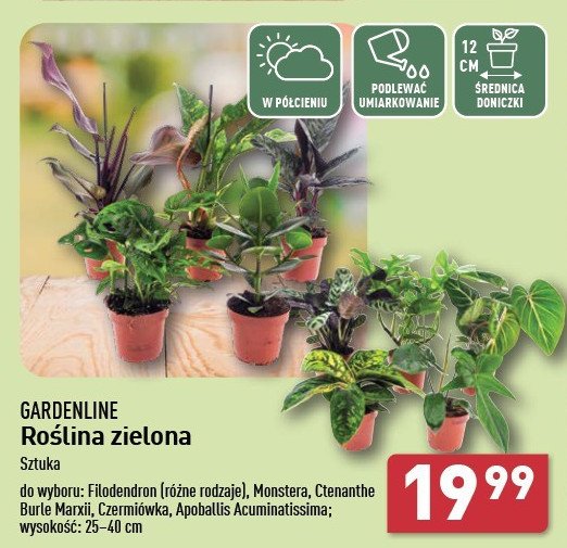 Czermiówka GARDEN LINE promocja