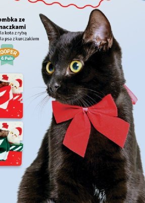 Katalog – Z miłości do pupila, strona 8 promocja w Intermarche