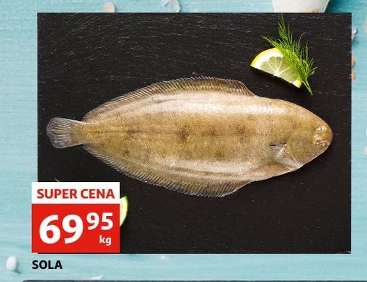 Sola promocja w Wafelek