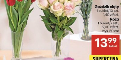 Róża promocja w Delikatesy Centrum