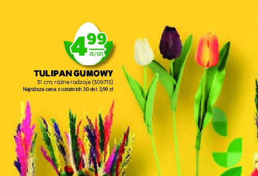 Tulipan gumowy 31 cm promocja