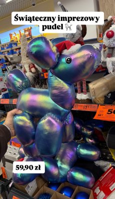 Świąteczny imprezowy pudel promocja w Biedronka