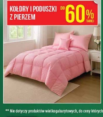 Kołdry i poduszki z pierzem  promocja w Biedronka