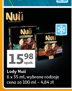 Lody na patyku mini adventure java vanilla + italian roasted hazelnut Nuii promocja