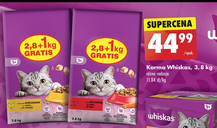 Karma dla kota pasztet z wołowiną Whiskas promocja w Biedronka