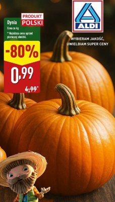 Dynia bio promocja w Aldi