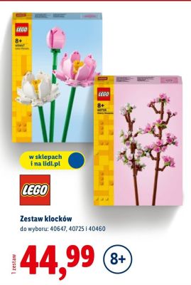 Zestaw klock贸w promocja w Lidl