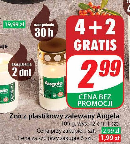 Znicz zalewany 30 h Angela promocja