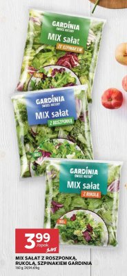 Mix sałat ze szpinakiem gardinia promocja w Stokrotka