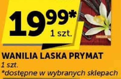 Wanilia laska Prymat promocja w Euro Sklep