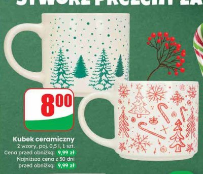 Kubek ceramiczny 2 wzory Dino promocja w Dino