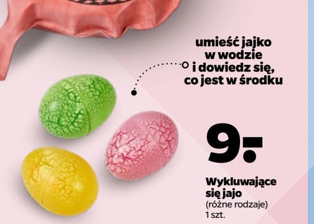 Wykluwające się jajko promocja w Netto