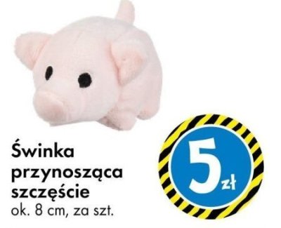 Świnia przynosząca szczęście promocja w Tedi