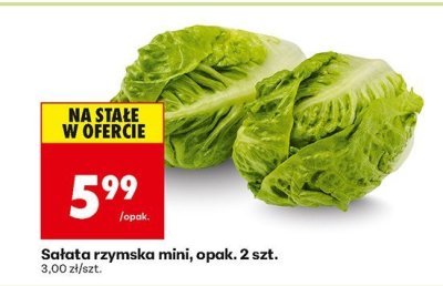 Sałata rzymska mini promocja w Biedronka