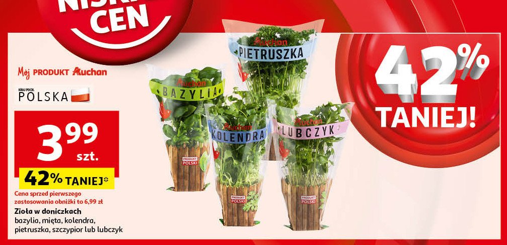 Pietruszka Auchan różnorodne (logo czerwone) promocja